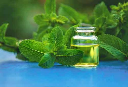 Natur Kosmetik
